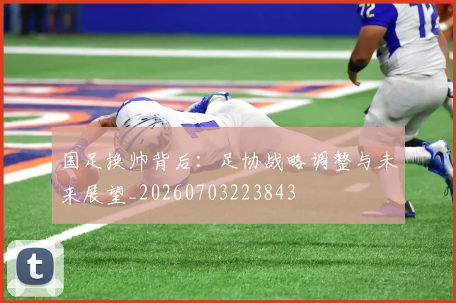 国足换帅背后:足协战略调整与未来展望_20260703223843